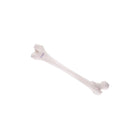 Femur – Anatomie und Pathologie