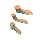 Set of 3 anatomical feet