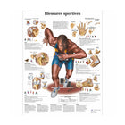 Anatomisches Brett - Sportverletzungen